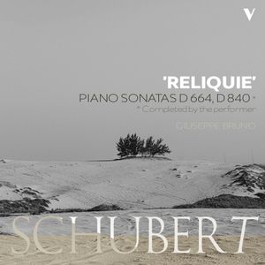 Piano Sonata no. 15 in C major, D. 840 “Reliquie”: I. Moderato