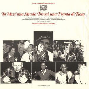 In Mezz’una Strada Trovai una Pianta di Rosa: Italian Folk Music Collected in New York and New Jersey, Vol. 1