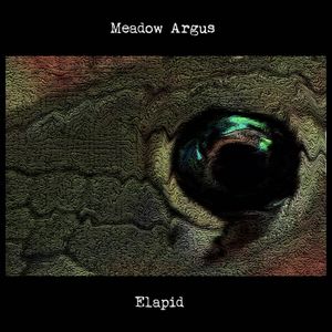 Elapid (EP)