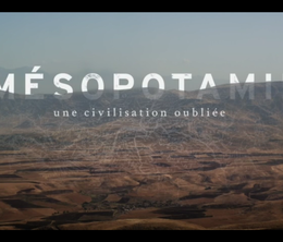 image-https://media.senscritique.com/media/000019700336/0/mesopotamie_une_civilisation_oubliee.png