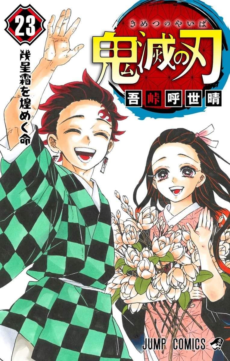 Demon Slayer Combien De Tomes