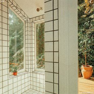 Flickering Tree Crones