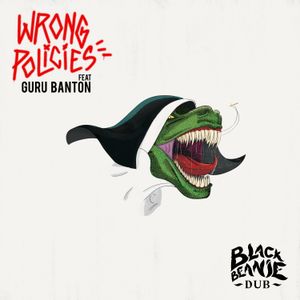Wrong Policies (Single)