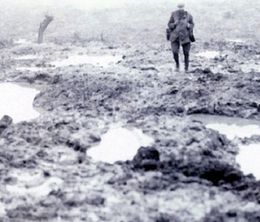 image-https://media.senscritique.com/media/000019711810/0/Passchendaele_The_Underground_War.jpg