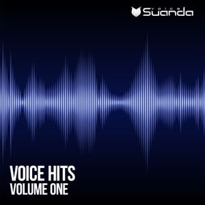 Voice Hits, Vol. 1