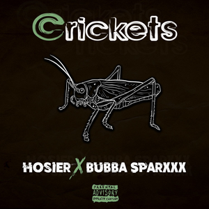 Crickets (EP)