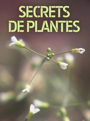 Secrets de plantes L’arabette, le Meccano génétique