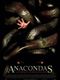 Anacondas : À la poursuite de l'orchidée de sang