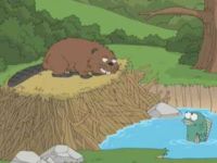 Beavers: Assholes of the Forest