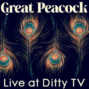 Live at DittyTV (Live)