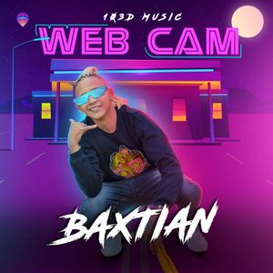 Web Cam (Single)