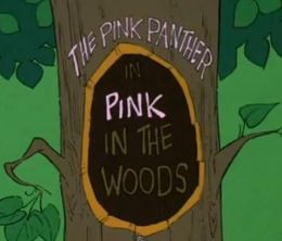 image-https://media.senscritique.com/media/000019721776/0/pink_in_the_woods.jpg