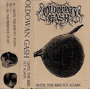 Until the Bees Fly Again... (EP)
