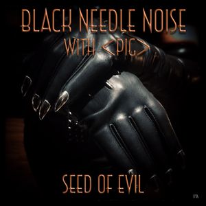 Seed of Evil (Single)