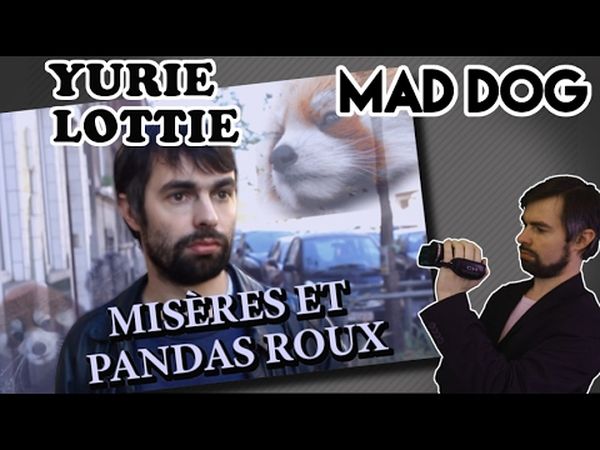 Misères et panda roux