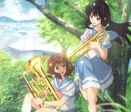 image-https://media.senscritique.com/media/000019725822/0/Hibike_Euphonium_2_Specials.png