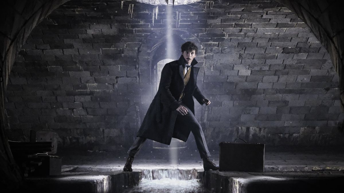 Distribution De Les Animaux Fantastiques : Les Crimes De Grindelwald Les Animaux fantastiques - Les Crimes de Grindelwald - Film (2018)