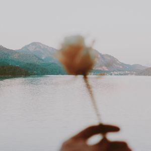 I'm in Love With You (Single)