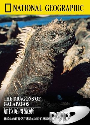 Dragons des Galapagos