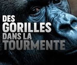 image-https://media.senscritique.com/media/000019730670/0/des_gorilles_dans_la_tourmente.jpg