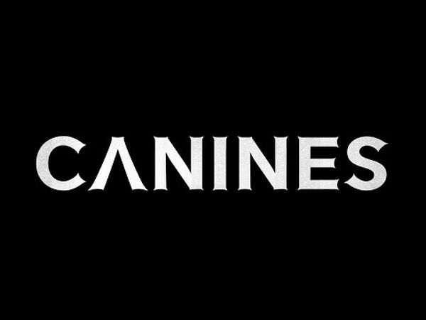 Canines