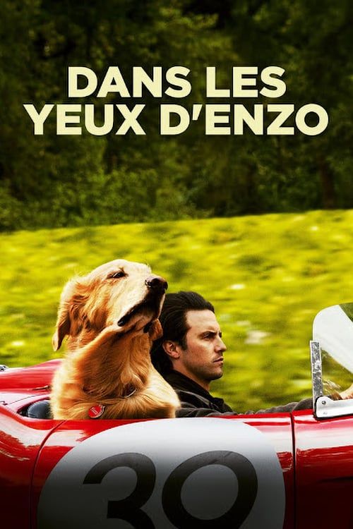 Dans Les Yeux D'enzo Bande Annonce Dans les yeux d'Enzo - Film (2019) - SensCritique