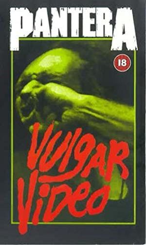 Vulgar video