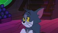 Tom et Jerry contre le pirate