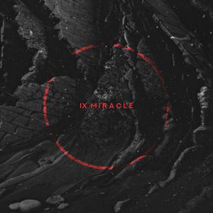 IX Miracle: Dark Matter