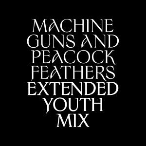 Machine Guns and Peacock Feathers (extended Youth mix)