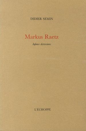 Markus Raetz - Infimes distorsions