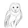 Avatar arkane81 Avatar arkane81