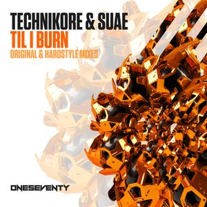 Til I Burn (Hardstyle mix)