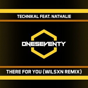 There For You (WILSXN remix) (Single)