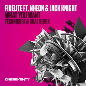 What You Want (Technikore & Suae radio edit)