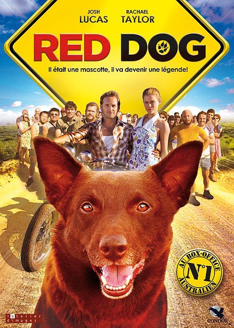 red-dog-film-2011-senscritique