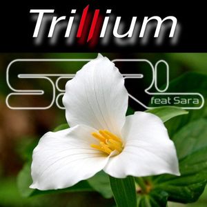 Trillium (Single)