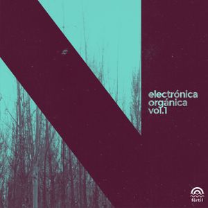 Electrónica Orgánica, Vol. 1: Noche
