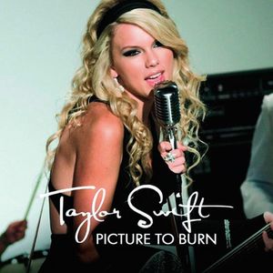 Picture to Burn (music video) (Single)