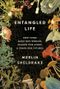 Entangled Life