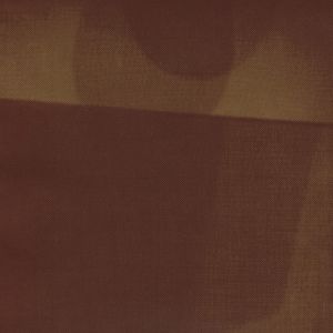 Shadow / Wolves (Single)