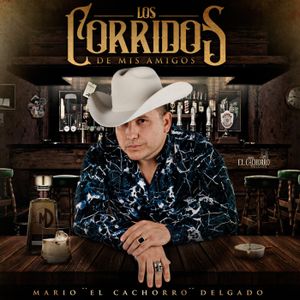 Los corridos de mis amigos