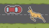 The Science of Roadkill
