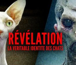 image-https://media.senscritique.com/media/000019775422/0/revelation_la_veritable_identite_des_chats.jpg