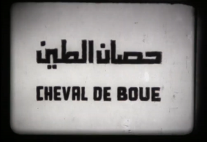 Cheval de boue