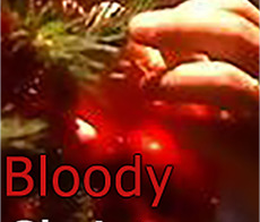 image-https://media.senscritique.com/media/000019776952/0/bloody_christmas.png