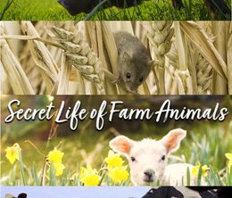 image-https://media.senscritique.com/media/000019778657/0/secret_life_of_farm_animals.jpg