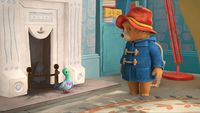 Paddington et le pigeon