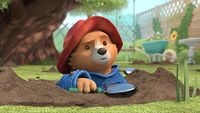 Paddington et le trésor