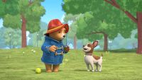 Paddington et Lucky